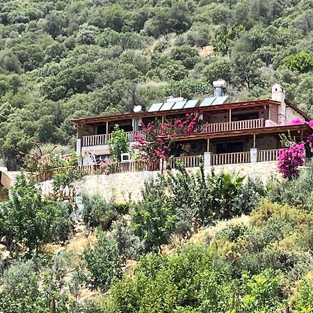 Istlada Tas Ev Apart - Kekova View Kapaklı Exteriör bild