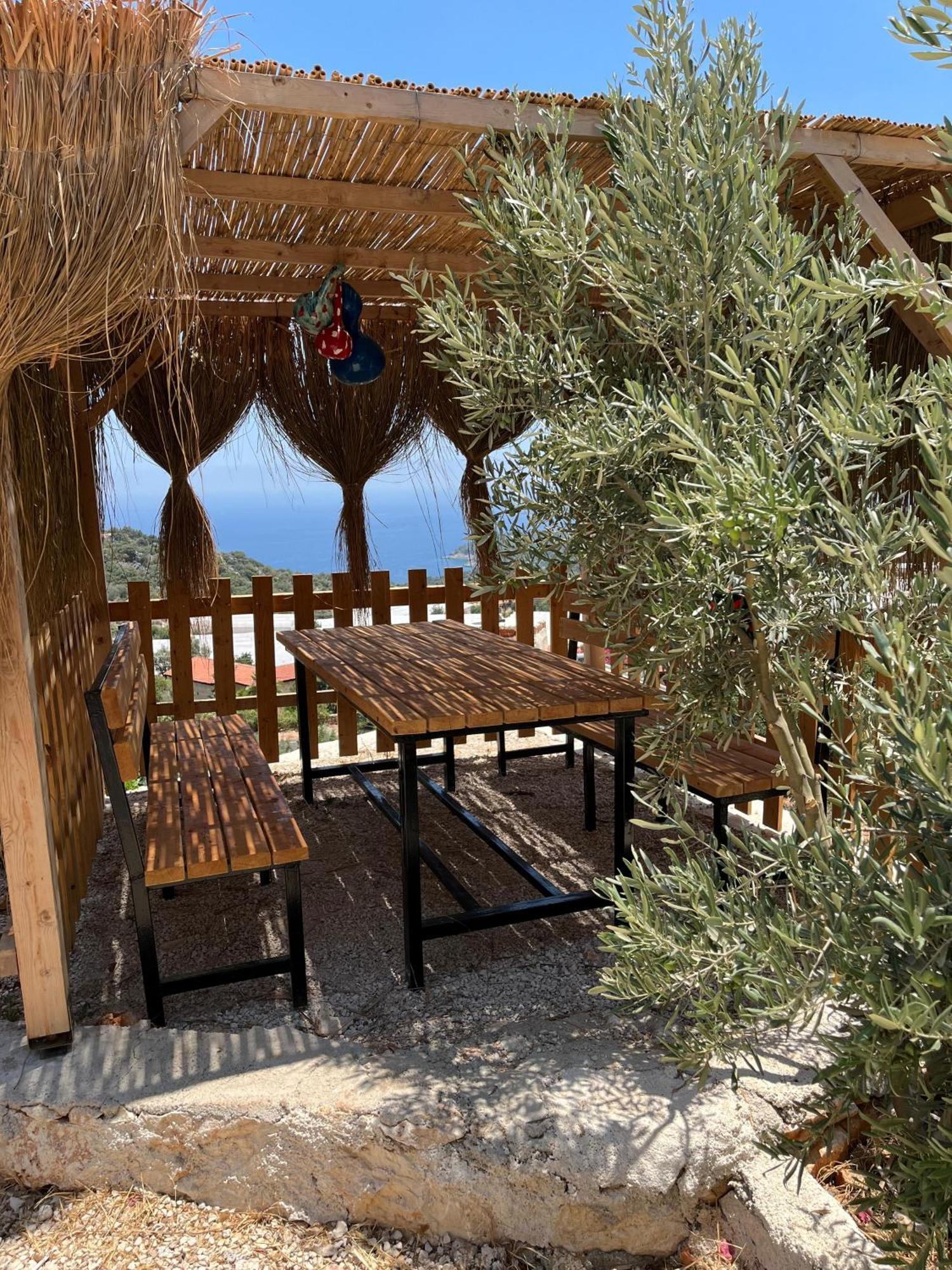 Istlada Tas Ev Apart - Kekova View Kapaklı Exteriör bild